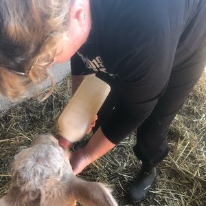 Meet your Posher, Karen